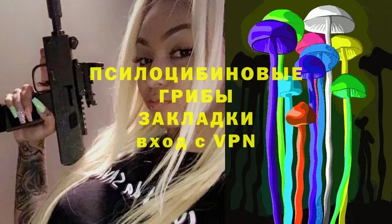 Псилоцибиновые грибы Psilocybe  Дрезна 